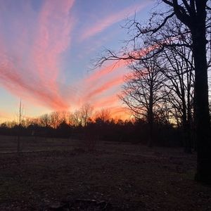 Meet your Posher, Kynzie